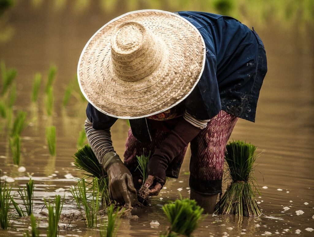 die Regenzeit in Thailand